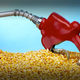Illustration for article titled The White House May Waive The EPAs Ethanol Requirement